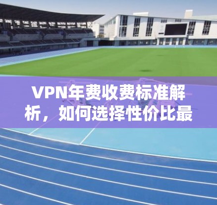 VPN年费收费标准解析,如何选择性价比最高的服务?