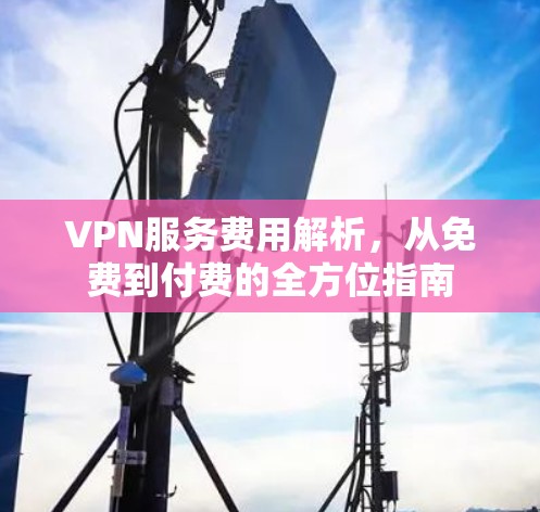 VPN服务费用解析,从免费到付费的全方位指南