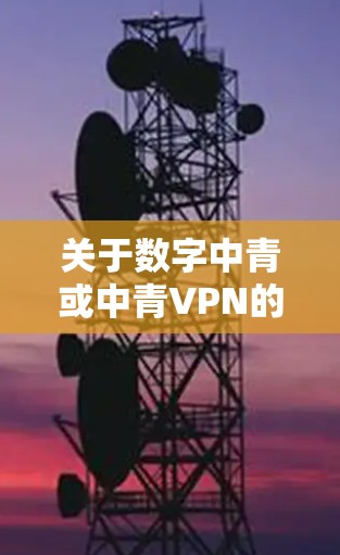 关于数字中青或中青VPN的相关信息，目前没有明确的官方公开资料显示其具体用途或背景。以下是一些可能的解释和建议，供您参考