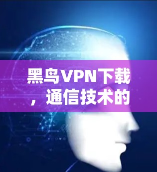 黑鸟VPN下载，通信技术的网络安全解决方案