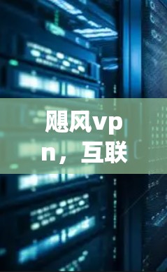飓风vpn,互联网设备中的智慧守护者