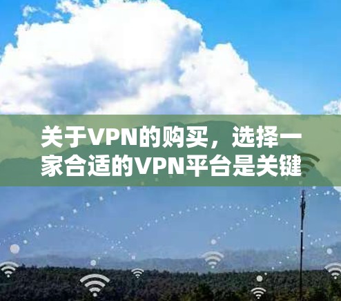 关于VPN的购买,选择一家合适的VPN平台是关键。以下是几种常见的VPN平台及其特点,供你参考