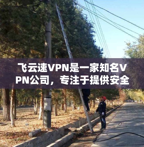 飞云速VPN是一家知名VPN公司,专注于提供安全、便捷的VPN服务。以下是对飞云速VPN的一些详细介绍