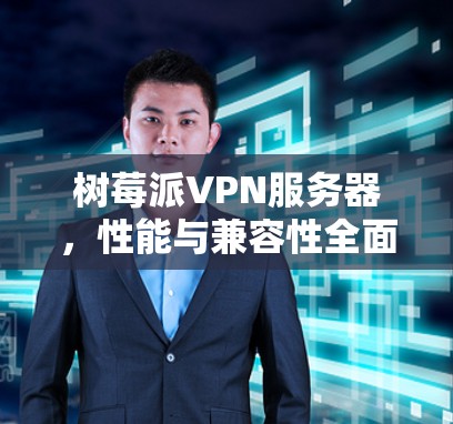 树莓派VPN服务器,性能与兼容性全面解析 树莓派VPN服务器,性能与兼容性全面解析