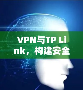 VPN与TP Link,构建安全的通信网络 VPN与TP Link,构建安全的通信网络