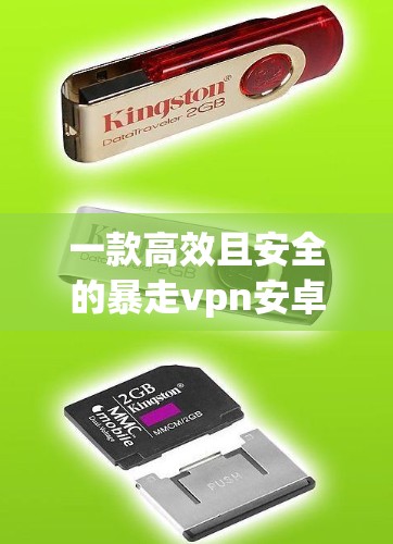 一款高效且安全的暴走vpn安卓应用,值得下载