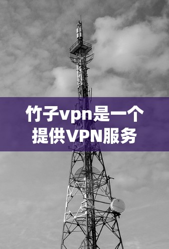 竹子vpn是一个提供VPN服务的网站,旨在帮助用户连接到安全的VPN服务器。以下是一个详细的使用步骤指南