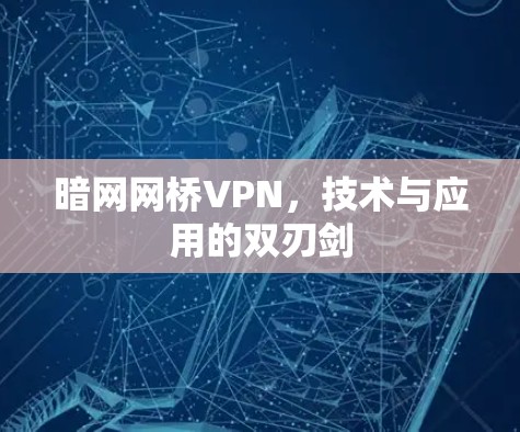 暗网网桥VPN,技术与应用的双刃剑