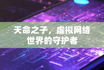 天命之子,虚拟网络世界的守护者
