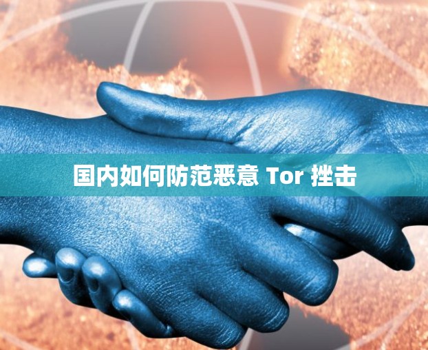 国内如何防范恶意 Tor 挫击