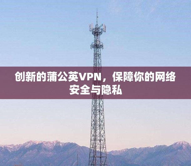 创新的蒲公英VPN,保障你的网络安全与隐私 创新的蒲公英VPN,保障你的网络安全与隐私