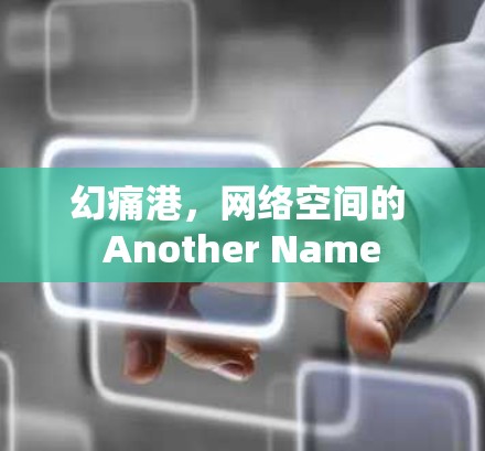 幻痛港,网络空间的 Another Name