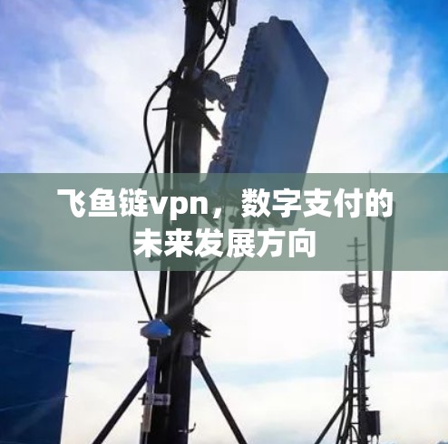 飞鱼链vpn,数字支付的未来发展方向