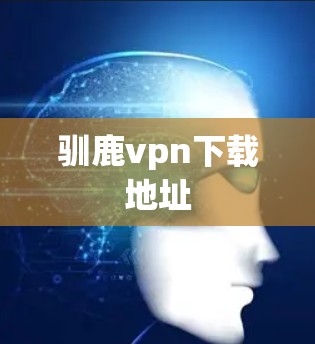 驯鹿vpn下载地址 驯鹿vpn下载地址
