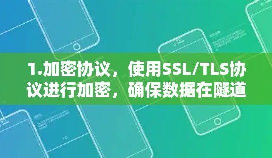1.加密协议,使用SSL/TLS协议进行加密,确保数据在隧道中的传输安全 1.加密协议,使用SSL/TLS协议进行加密,确保数据在隧道中的传输安全