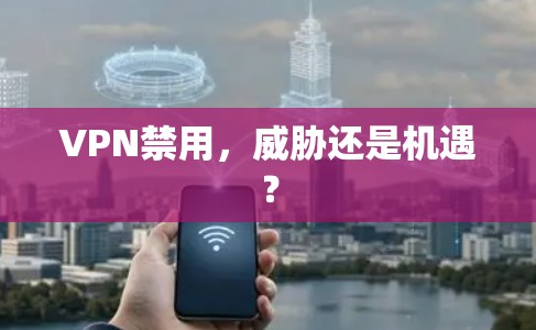 VPN禁用,威胁还是机遇?