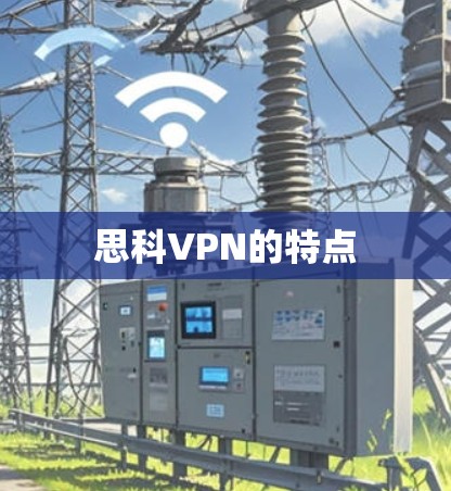 思科VPN的特点