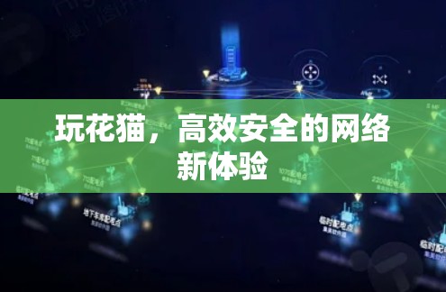 玩花猫,高效安全的网络新体验