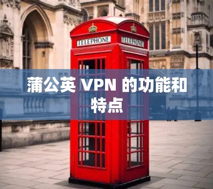 蒲公英 VPN 的功能和特点 蒲公英 VPN 的功能和特点