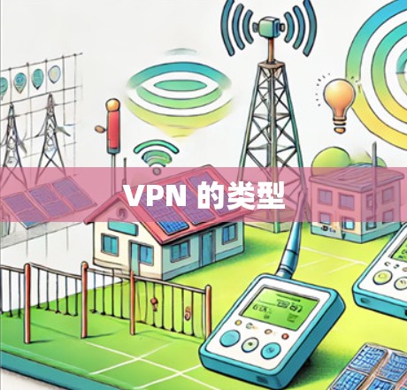 VPN 的类型 VPN 的类型