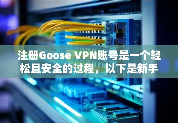 注册Goose VPN账号是一个轻松且安全的过程,以下是新手使用指南