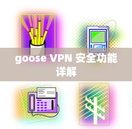 goose VPN 安全功能详解