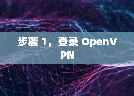 步骤 1,登录 OpenVPN