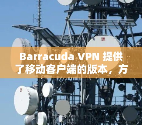 Barracuda VPN 提供了移动客户端的版本，方便用户在手机上使用VPN服务。以下是使用移动客户端的教程