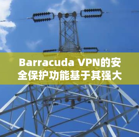 Barracuda VPN的安全保护功能基于其强大的防火墙、多端访问和加密机制，确保用户数据的安全。以下是该产品的核心功能和防御措施