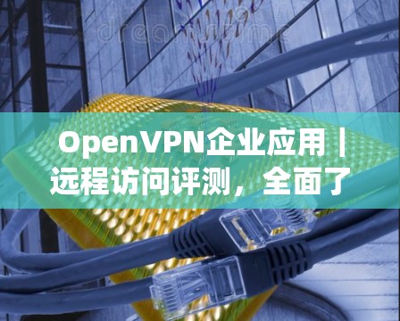 OpenVPN企业应用｜远程访问评测，全面了解其安全性与用户体验