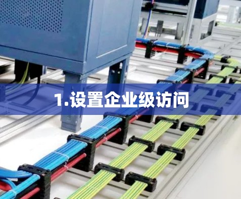 1.设置企业级访问