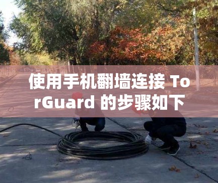 使用手机翻墙连接 TorGuard 的步骤如下