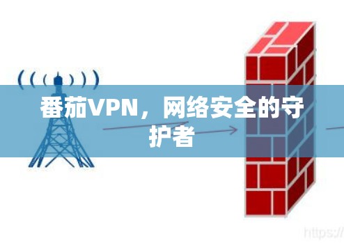 番茄VPN,网络安全的守护者