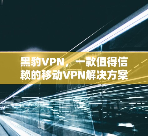 黑豹VPN,一款值得信赖的移动VPN解决方案—安卓客户端与手机<strong>科学上网</strong>