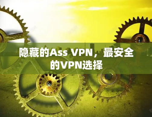 隐藏的Ass VPN,最安全的VPN选择